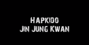 Hapkido JJk Présentation