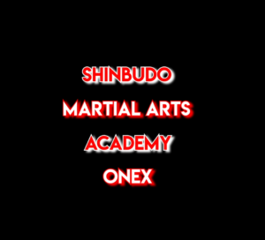 Hapkido JJk Présentation